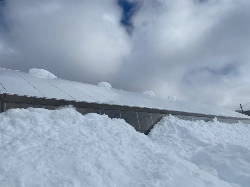 豪雪時のパイプハウス倉庫