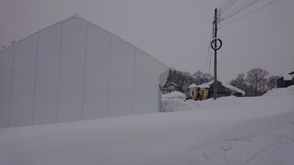 豪雪時のパイプハウス