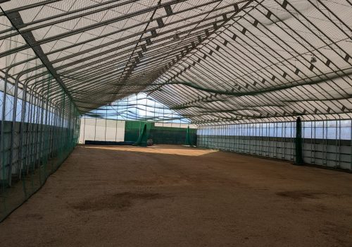 全天候型屋内スポーツ施設の内部空間